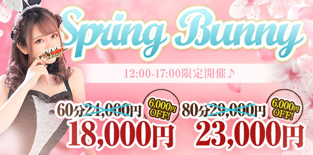 Spring_Bunny　60分18,000円♪
